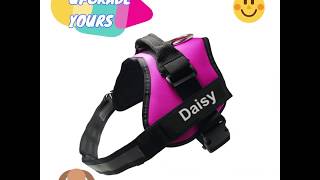 No Pull Dog Harness