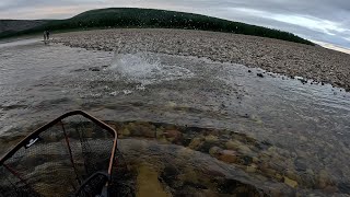 Первый таймень юного падавана