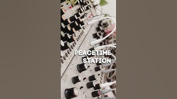 Dub Groove Improvisation — Modular Live Cut