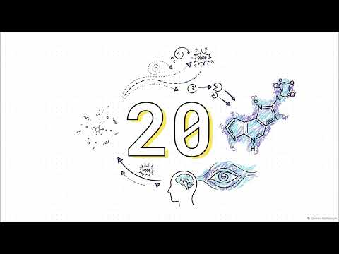 The pineal gland and endogenous DMT video explainer