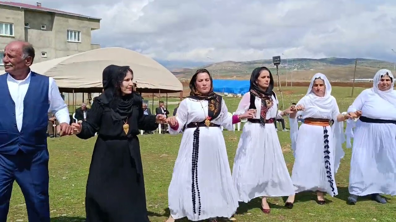 Avaliler aşiret düğünü Siirt merkez