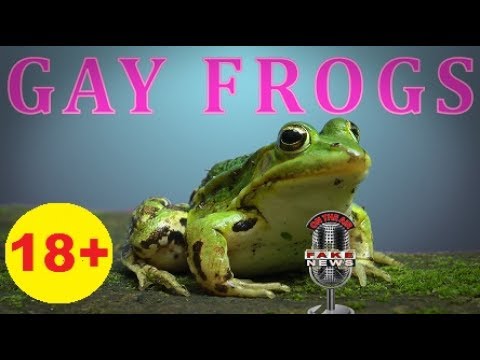 GAY FROGS - Alex Jones exposed as Frog Pimp - Trump denies everything
