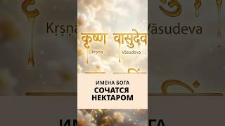 Врут ли святые? #СвятыеИмена #ХариКришна #Бхакти #НектарИмени
