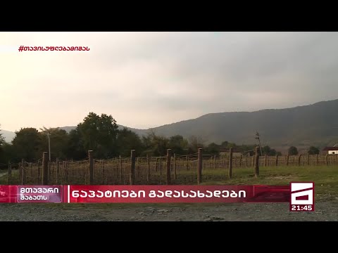 დამატებითი შეღავათები პრივილეგირებული ბიზნესმენებისთვის - წინასაარჩევნო ამნისტია