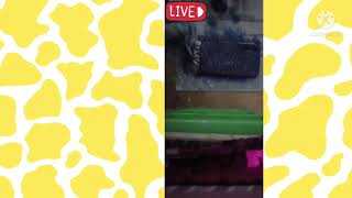 Making A Phone Case For One Of My Customersfinishing Touchesread Description