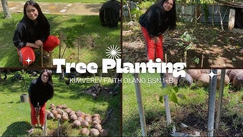 Tree Planting🌴🌳 NSTP-CWTS AND WITNESS SCI PT- Holy Name University