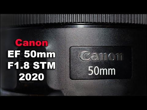Объектив Canon EF 50mm F1.8 STM Опыт обзор тест Отзыв