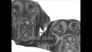 Snitch: The AFTERMATH of 'Who Stole the Cookie??' by Harley and Loa Bark Badges 165,489 views 7 years ago 1 minute, 31 seconds