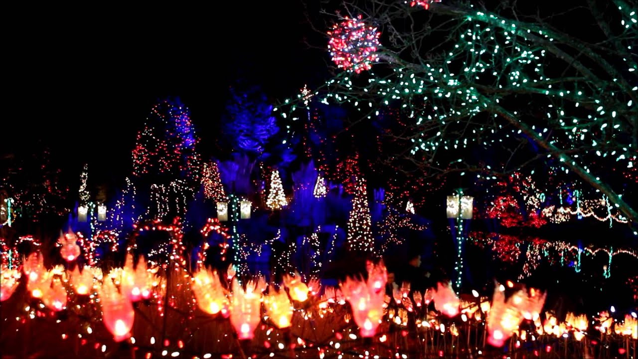 141209 Van Dusen Garden Christmas lights YouTube