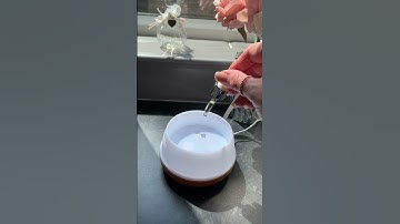 How to use a diffuser with Aroma Oils #diffusers #diffuser #aroma #aromaoil #homefragrance