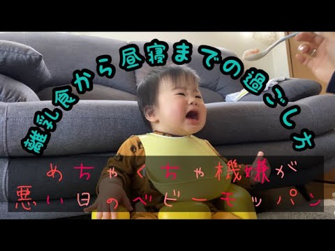 生後9ヶ月赤ちゃん いつも以上に機嫌が悪い日の離乳食から寝るまで とある1日のルーティン Youtube