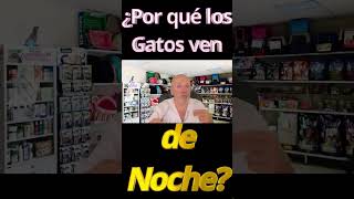 🪆 ¿POR QUÉ LOS GATOS VEN DE NOCHE TAN BIEN? 🪆#veterinaria #gatos #veterinario #curiosidades