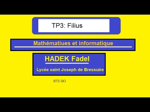 TP3: Simuler une connexion entre deux clients distant sur réseau internet à l'aide Filius.