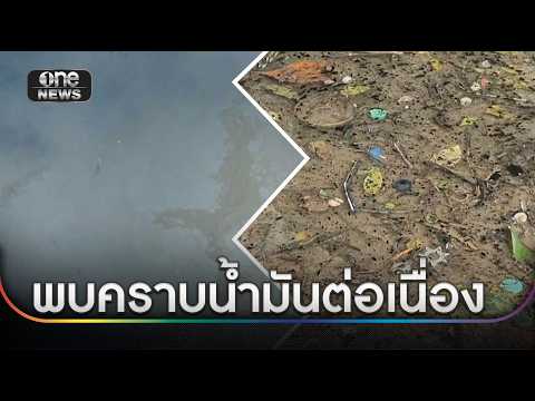 พบต่อเนื่อง คราบน้ำมันในนาข้าว ชาวบ้านวอนเร่งตรวจสอบ | ข่าวเย็นช่องวัน | สำนักข่าววันนิวส์