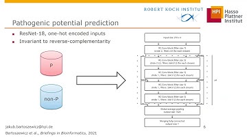 Real-time pathogenicity prediction during... - Jakub Bartoszewicz - MLCSB - Poster - ISMB/ECCB 2021