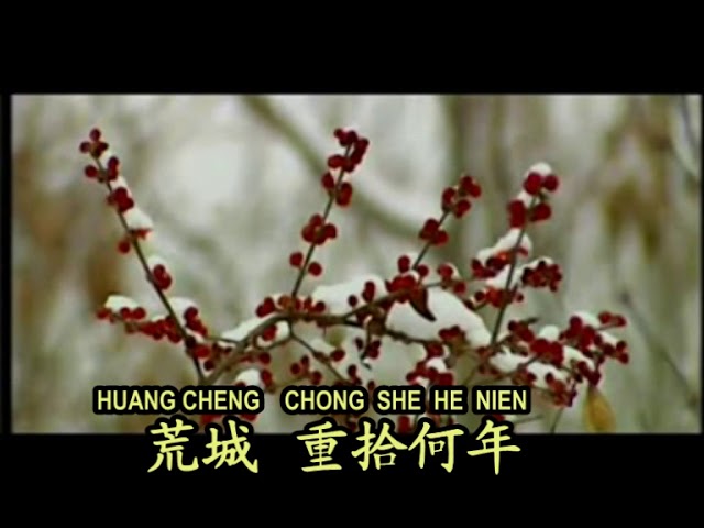 KU YE CAO CIN CHENG^KHONG HAN WEI KARAOKE class=