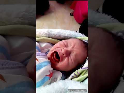 عمرو عبدالرحمن احمد مولود جديد عمرو عبدالرحمن احمد مولود جديد