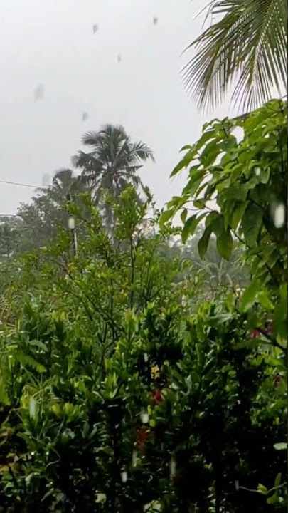 HUJAN LEBAT DI PAGI HARI