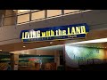 EPCOT Living with the Land Full Ride POV in 5K | Walt Disney World Orlando Florida July 2020