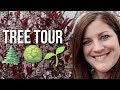 New Tree Tour! 🌳🍁🍃// Garden Answer