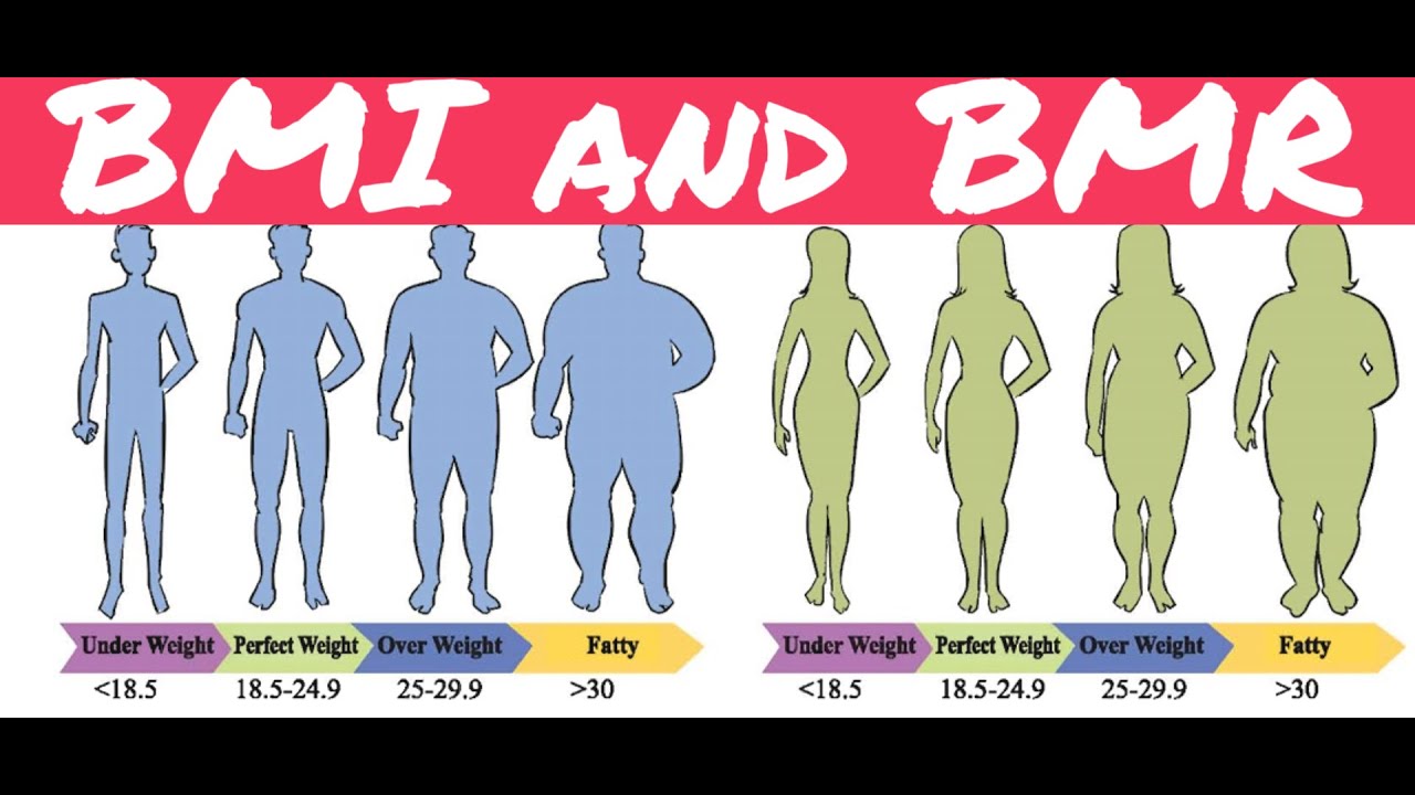 BMI And BMR For English Version Students Of Class 9 And 10 Ruhul Kayum Sir YouTube