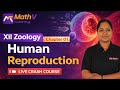 XII Zoology | Human Reproduction | Chapter 01 | Live Crash Course | HSE 2026