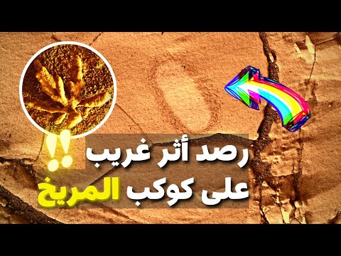 فيديو: تحول الإنسان في أعمال جوش سومرز