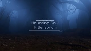 Haunting Soul (original guitar song sketch)