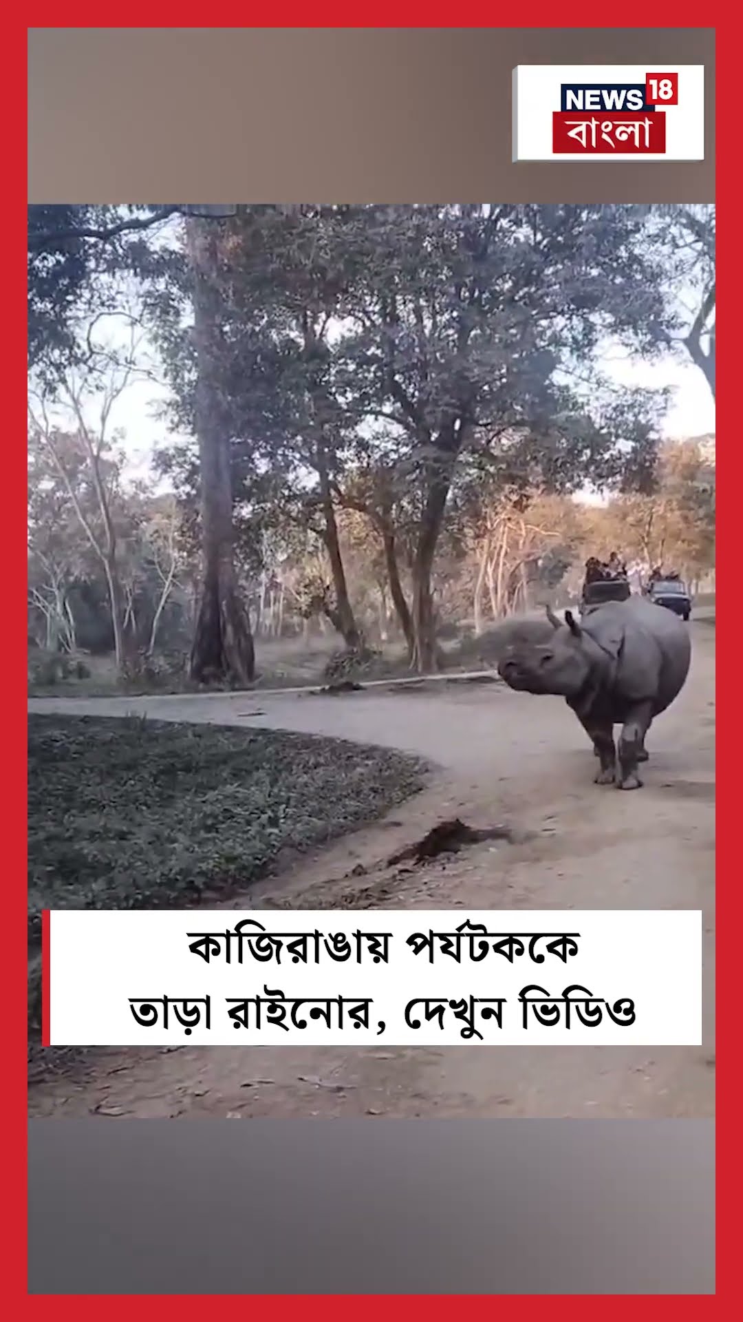 Kazirgana National Parkএ পর্যটককে তাড়া  Rhinoর, দেখুন ভিডিও | N18S #shorts
