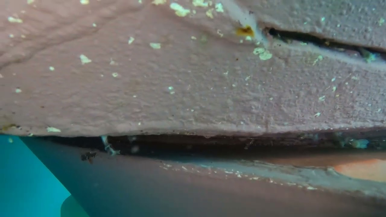 Underwater Services 595