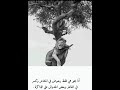 انا بخير💯⁉️
