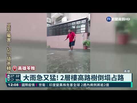 高雄大雨多處積水 路樹倒塌躺路面｜華視新聞 20210731