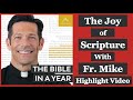 The Joy of Scripture - Fr. Mike Schmitz Interview Highlights