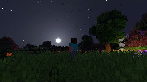 HOW TO DOWNLOAD ZEBRA SHADERS FOR MINECRAFT PE IN ANDROID PHONE | Best Shaders For Minecraft