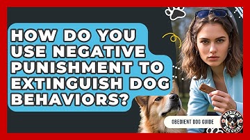 How Do You Use Negative Punishment To Extinguish Dog Behaviors? - Obedient Dog Guide