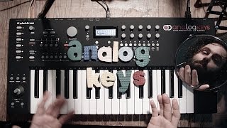 Famous Analog Keys CUCKOO First Impressions Jam Wealth