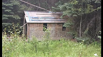  Edson abandoned bush trapper cabin by mccloud river  alberta 