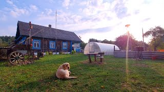 Живу ОДИН В ДЕРЕВНЕ! Для СЧАСТЬЯ нужно очень мало.