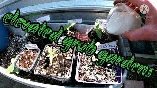 Diatomaceous Earth Organic Pest Prevention ||Season 3
