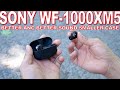 Sony wf1000xm5 review  big upgrades from the xm4s that i didnt expect