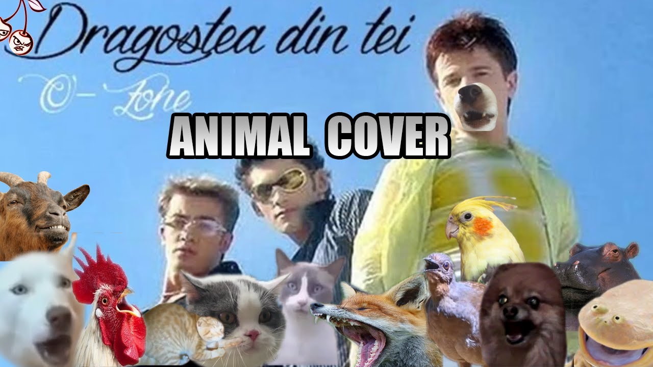 O-Zone - Dragostea Din Tei (Animal Cover)