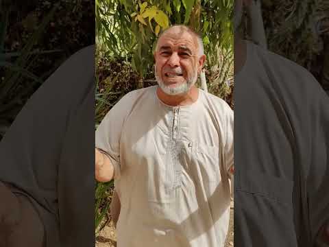 الشيخ عبد الله نهاري لحظة وفاة ام رسول الله صلى الله عليه وسلم آمنة و بماذا وصته