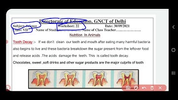 science worksheet22 class7(30/9/21) English medium/class6scienceworkshet22/#scienceworksheet22class7
