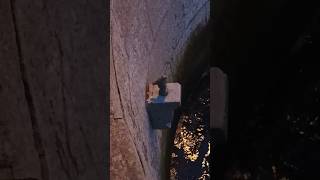 Самый маленький памятник в Петербурге