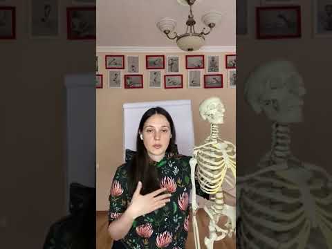 Практика йоги при сколиозе