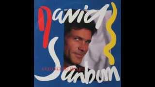 Video thumbnail of "David Sanborn - Chicago Song (Extended Version)"