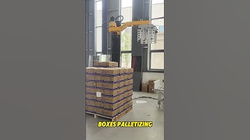 Boxes Palletizing😎 #palletizer #columnrobot#automation#robot #stacking#depalletizer#manufacturer