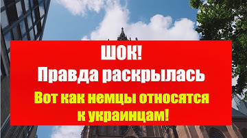 Все в шоке от реального отношения немцев к украинцам