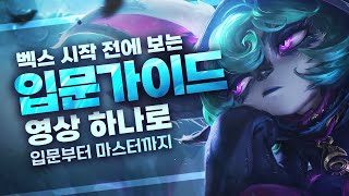 벡스 시작 전에 보는 완벽 입문가이드 (스킬, 룬, 아이템, 메커니즘, 콤보)