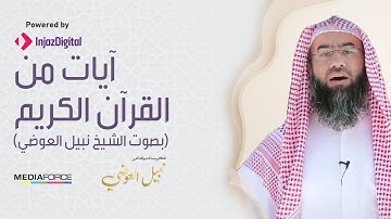 آيات من القرآن الكريم بصوت الشيخ نبيل العوضي